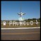 Palmelo News